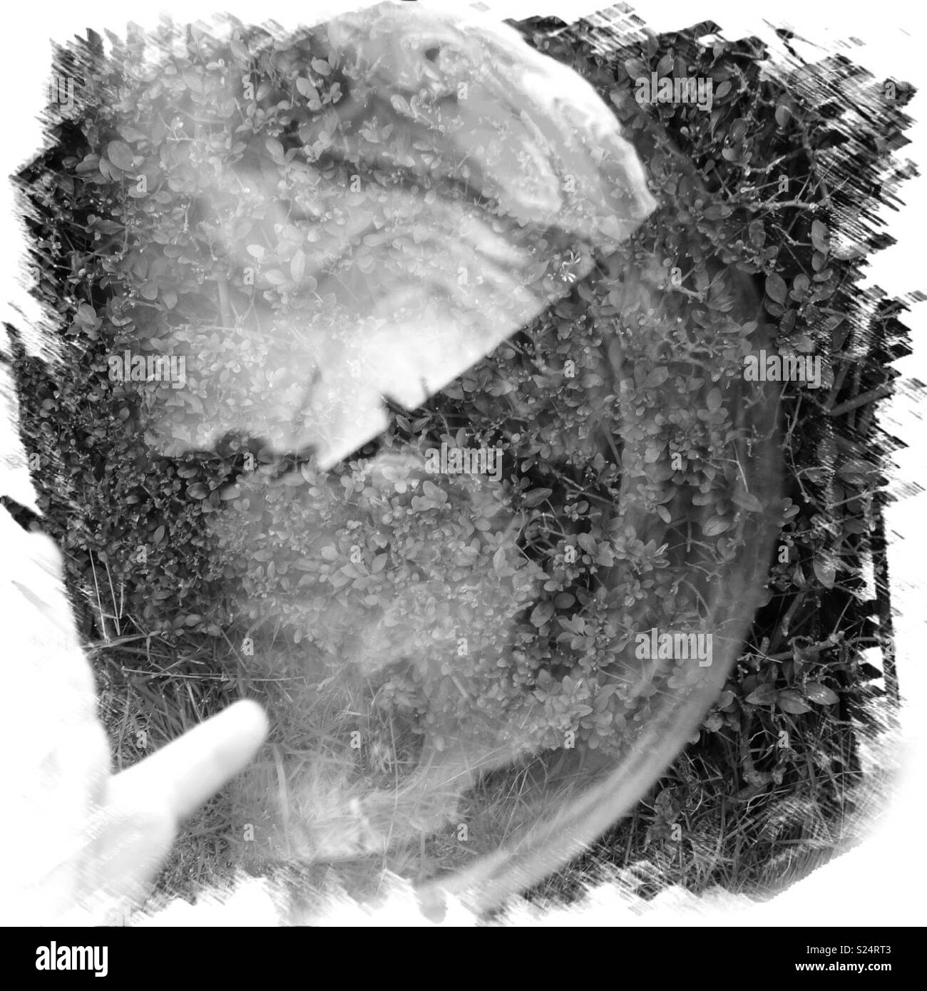 Black and white bubble Stock Photo - Alamy