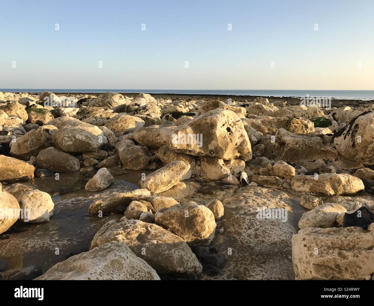 Chalk rock beach with sea Stock Photo Alamy