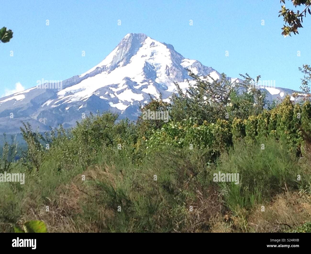 Mount hood in september hires stock photography and images Alamy