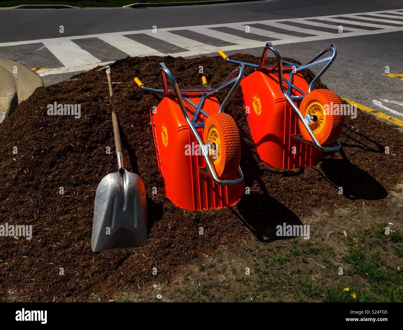 Orange wheelbarrows on a pile of soil - Smartphone Captured Stock Image