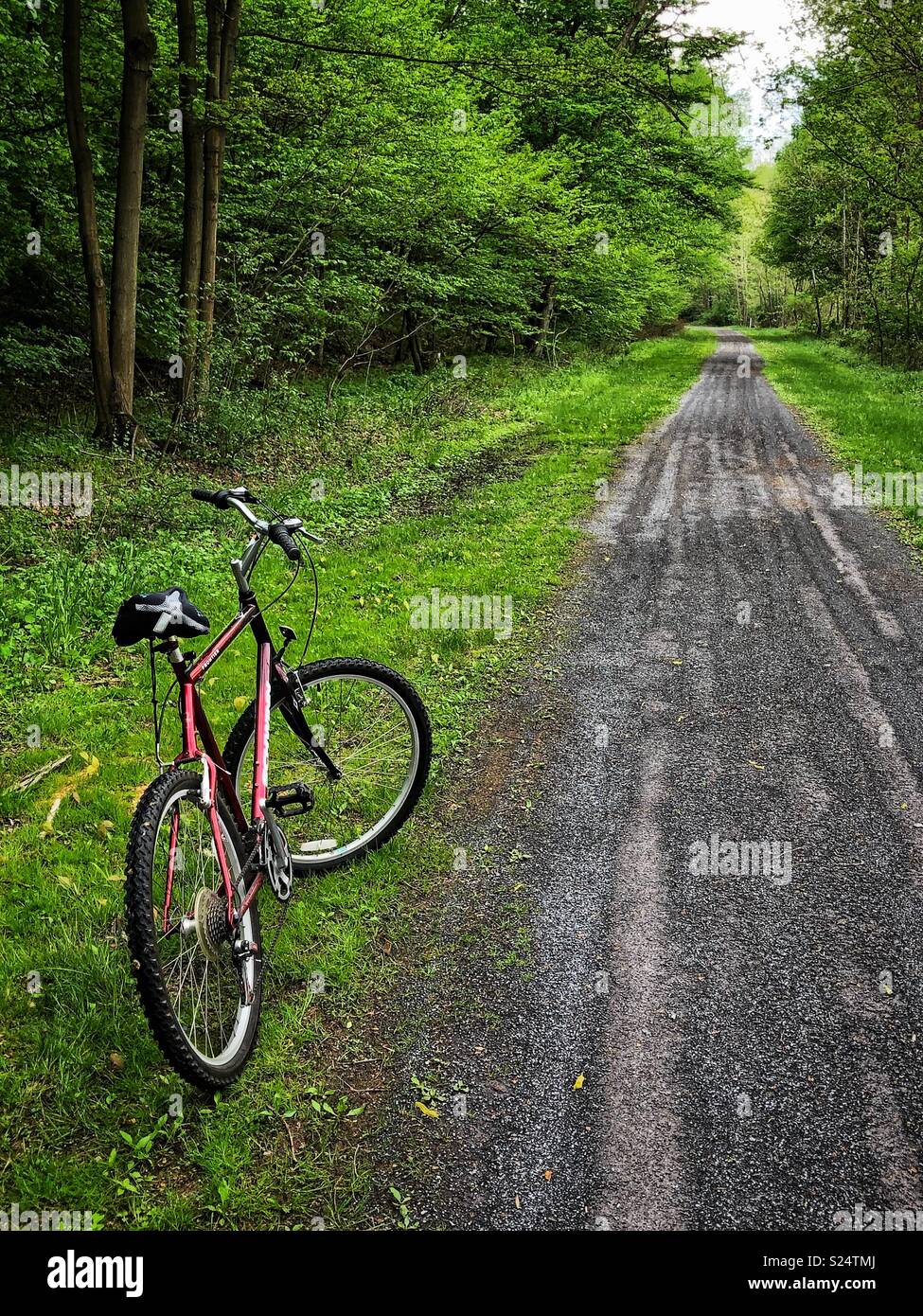 Trails in woods hires stock photography and images Alamy