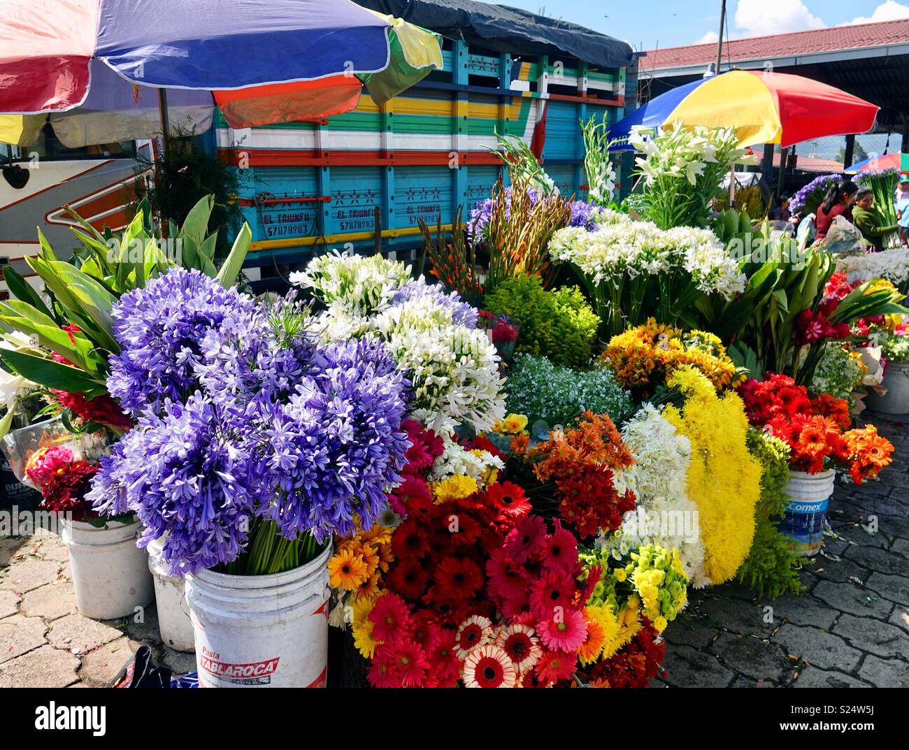 Shopping the colorful flower market in Antigua, Guatemala Stock Photo
