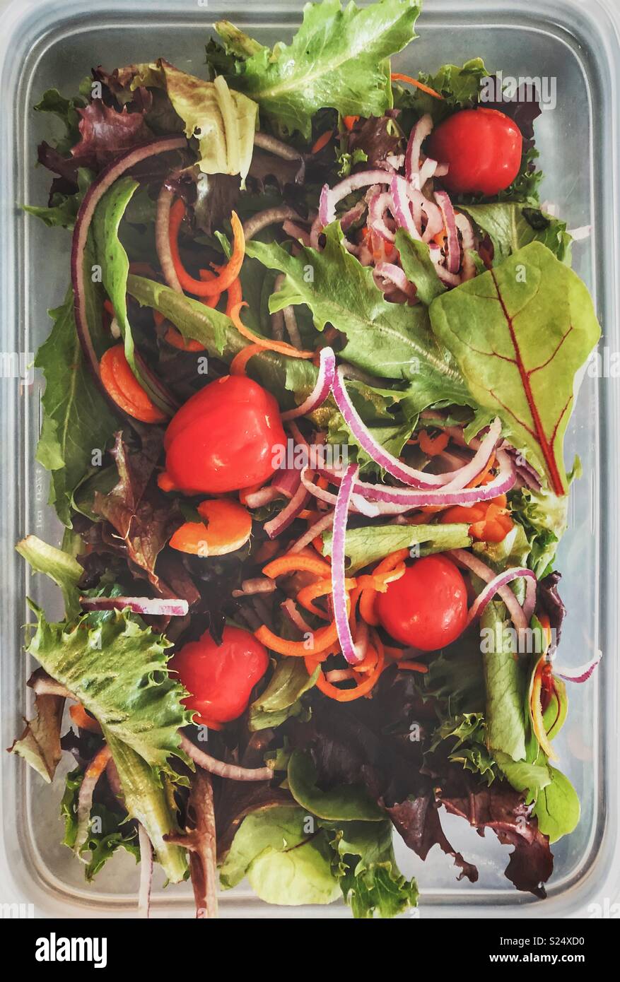 Fresh salad made with various greens, spiralized carrots and onions - Smartphone Captured Stock Image