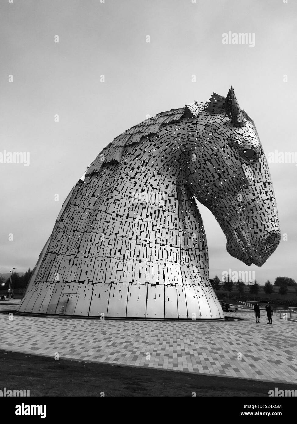 Black kelpie hires stock photography and images Alamy