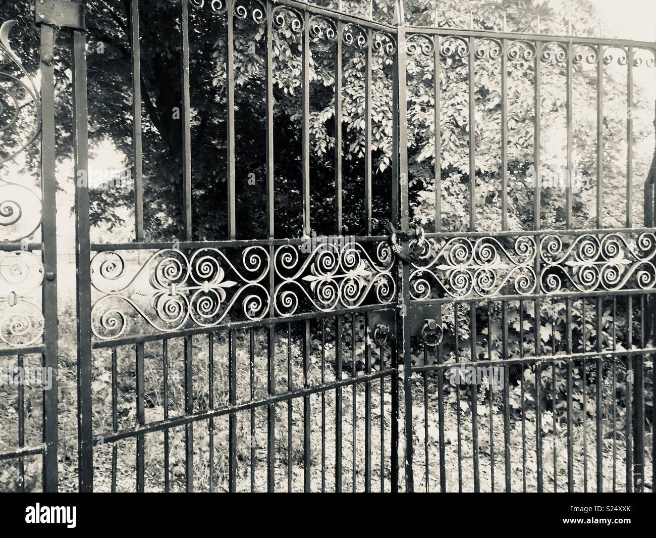 Black and white gates hires stock photography and images Alamy