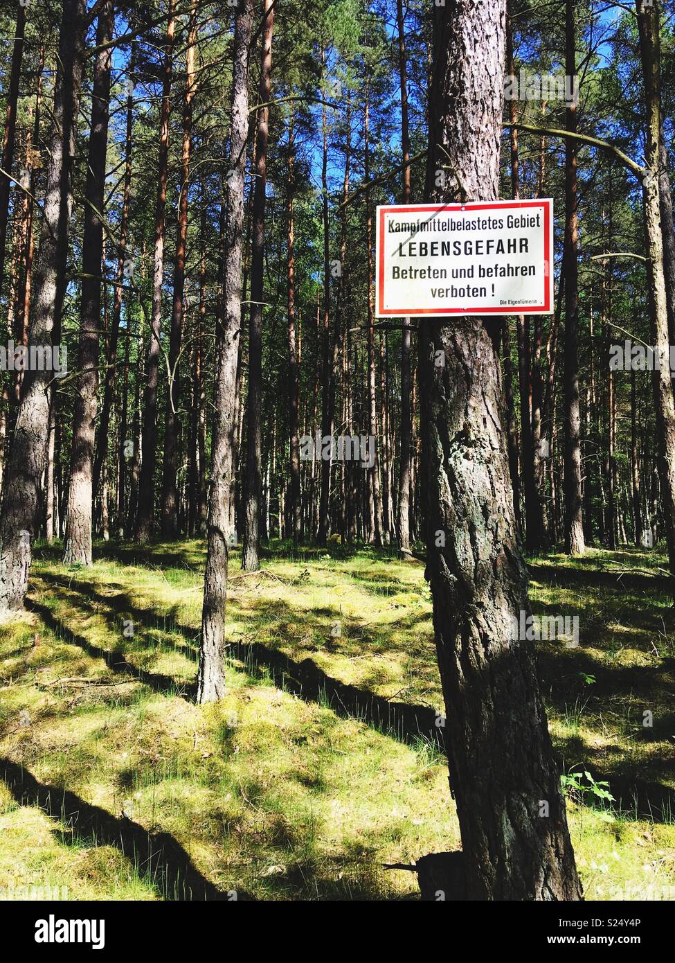 A German sign warning of entering a pine forest because of mortal danger due to contamination with ammunition or weapons left from military use under the Nazis, Mirow, Mecklenburg-Vorpommern, Germany Stock Photo