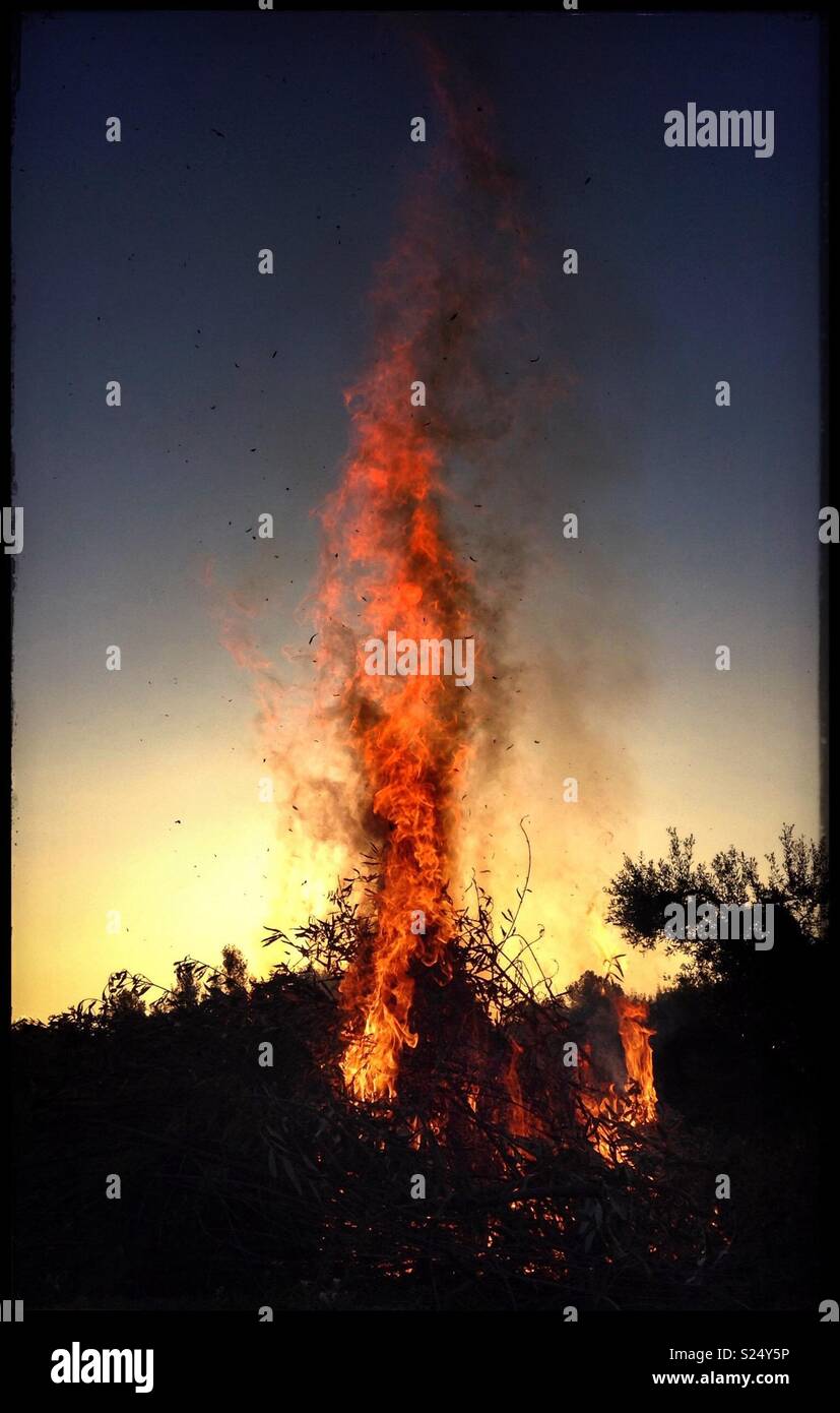 Daybreak bonfire, Catalonia, Spain. - Smartphone Captured Stock Image