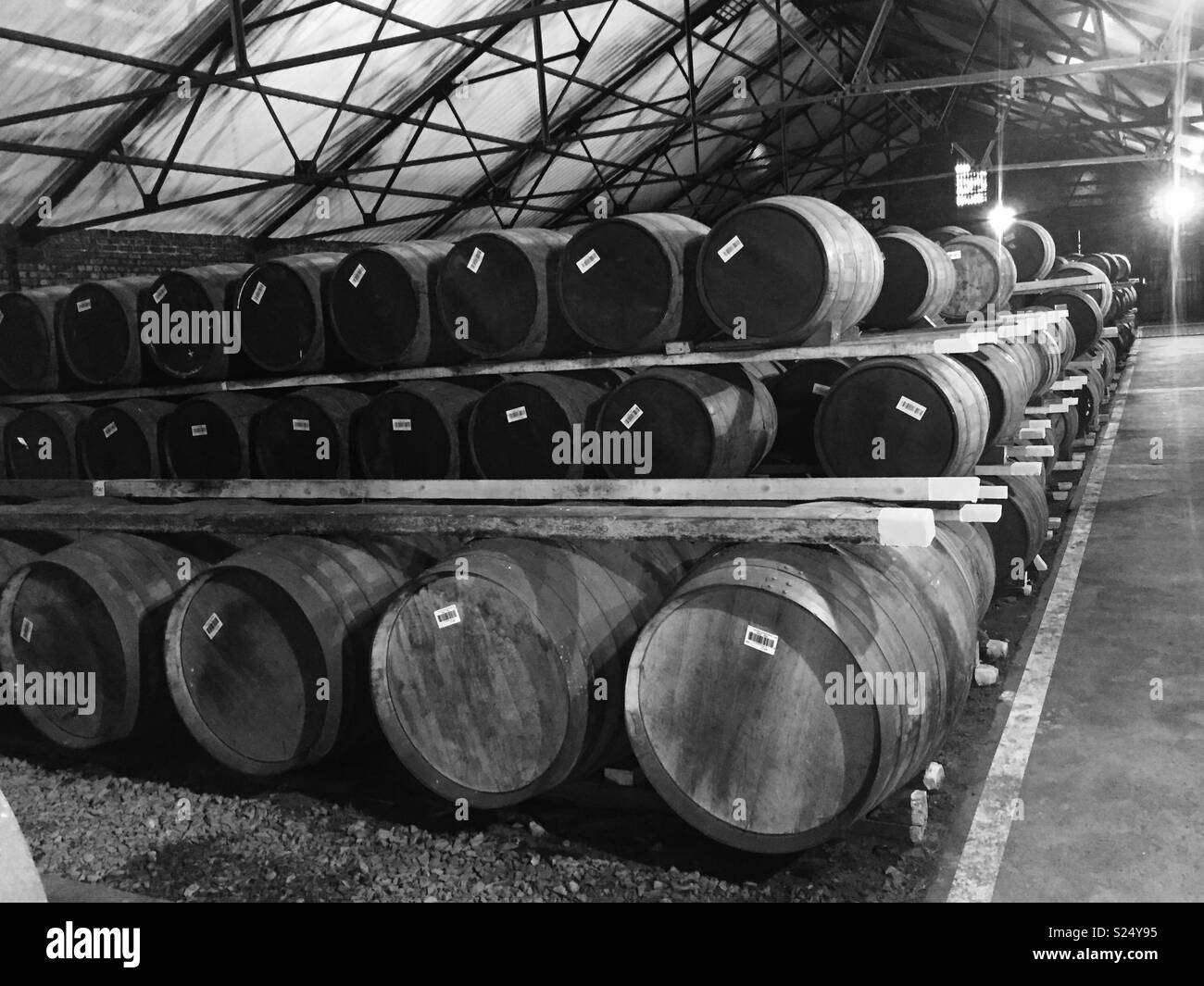 Barrels of whisky in a distillery Stock Photo