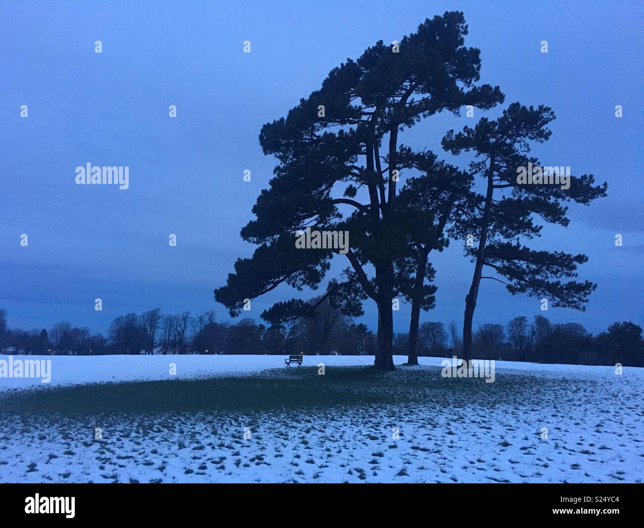 Bristol downs in the snow Stock Photo Alamy