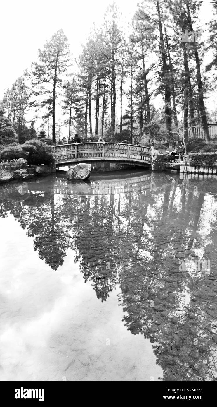Calming water reflects tall trees, food bridge and the sky in Nishinomiya Tsutakawa Japanese Garden, a place where nature, tranquility and beauty come together - Smartphone Captured Stock Image