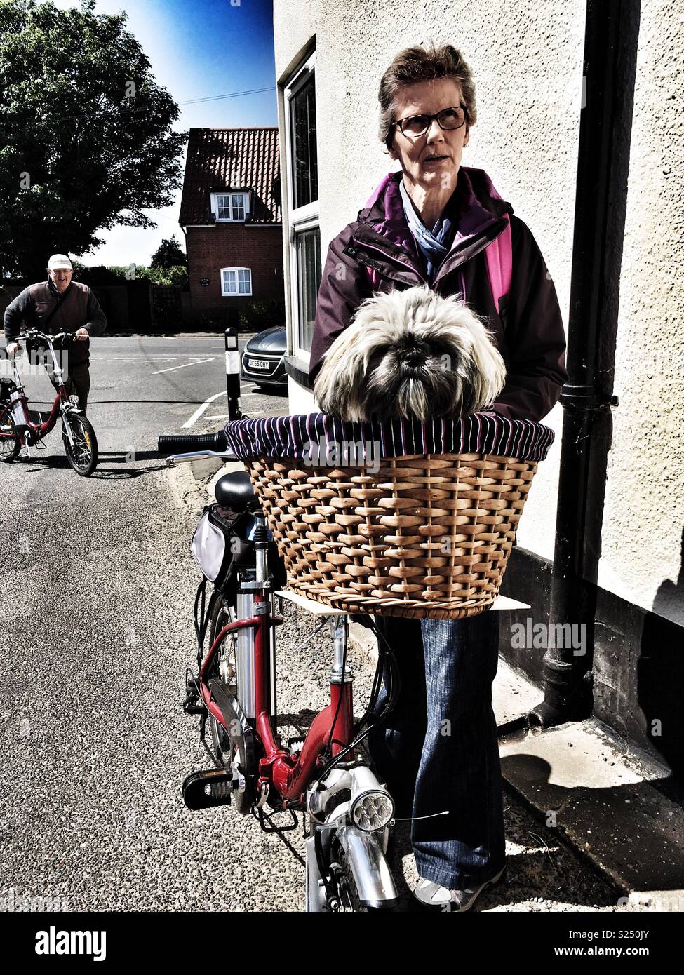 Dog riding in bicycle basket hires stock photography and images Alamy