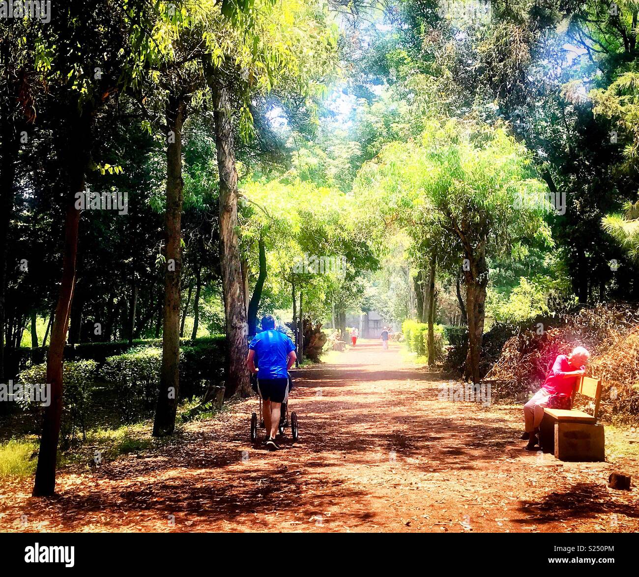 People relax in a public park in Coyoacan, Mexico - Smartphone Captured Stock Image