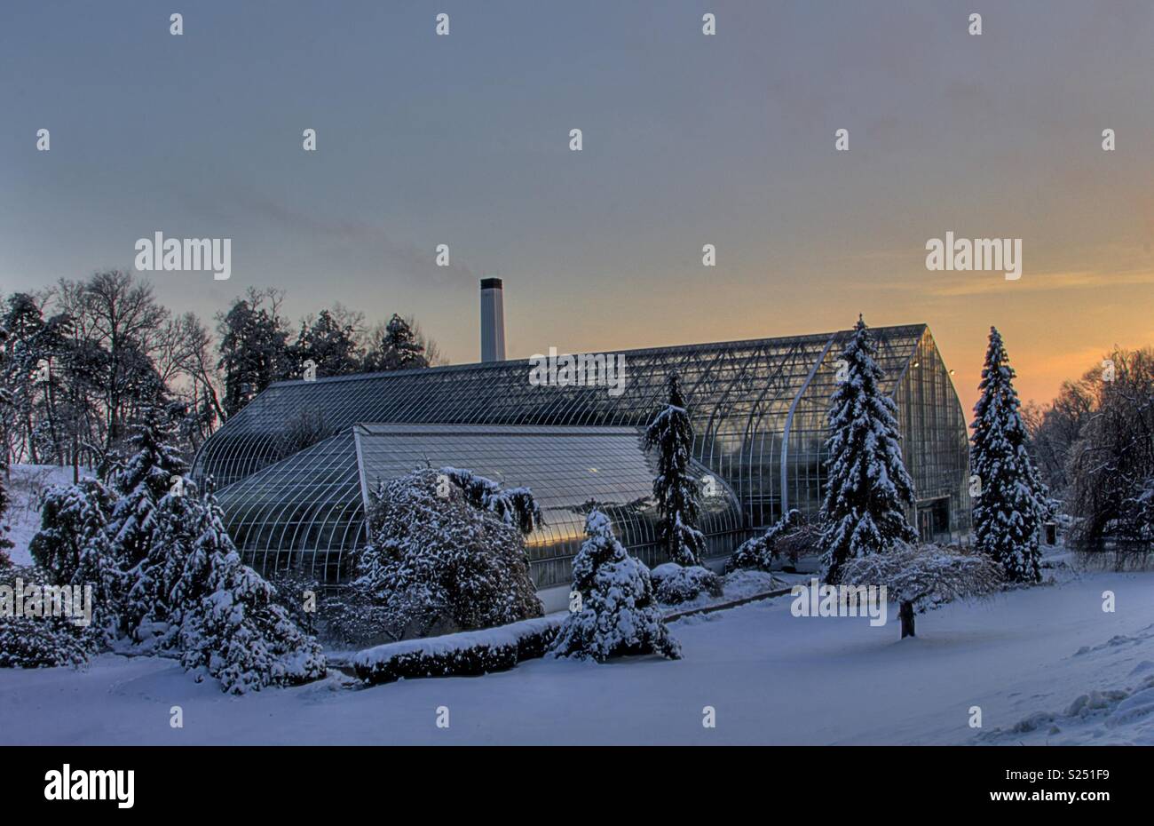 Krohn Conservatory,  Eden Park -Late Day Winter Sun - Smartphone Captured Stock Image