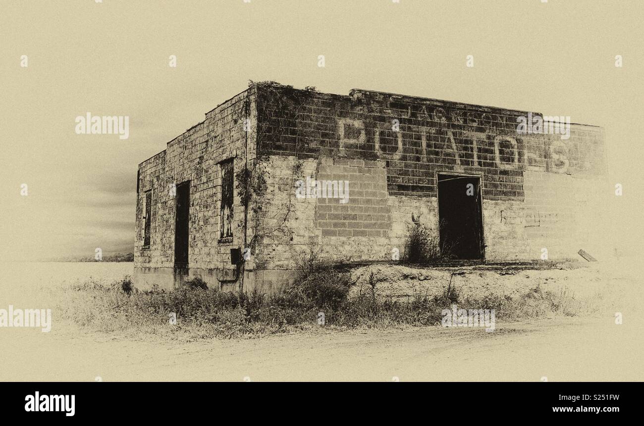 Potatoes - Smartphone Captured Stock Image