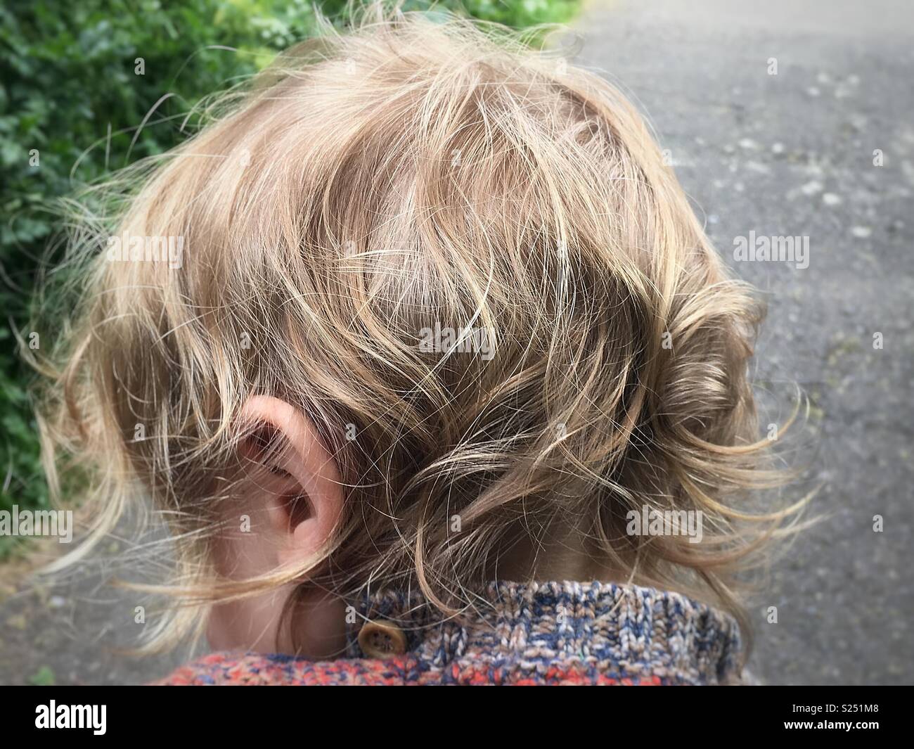 Little Boy S Wavy Hair Stock Photo 311127048 Alamy