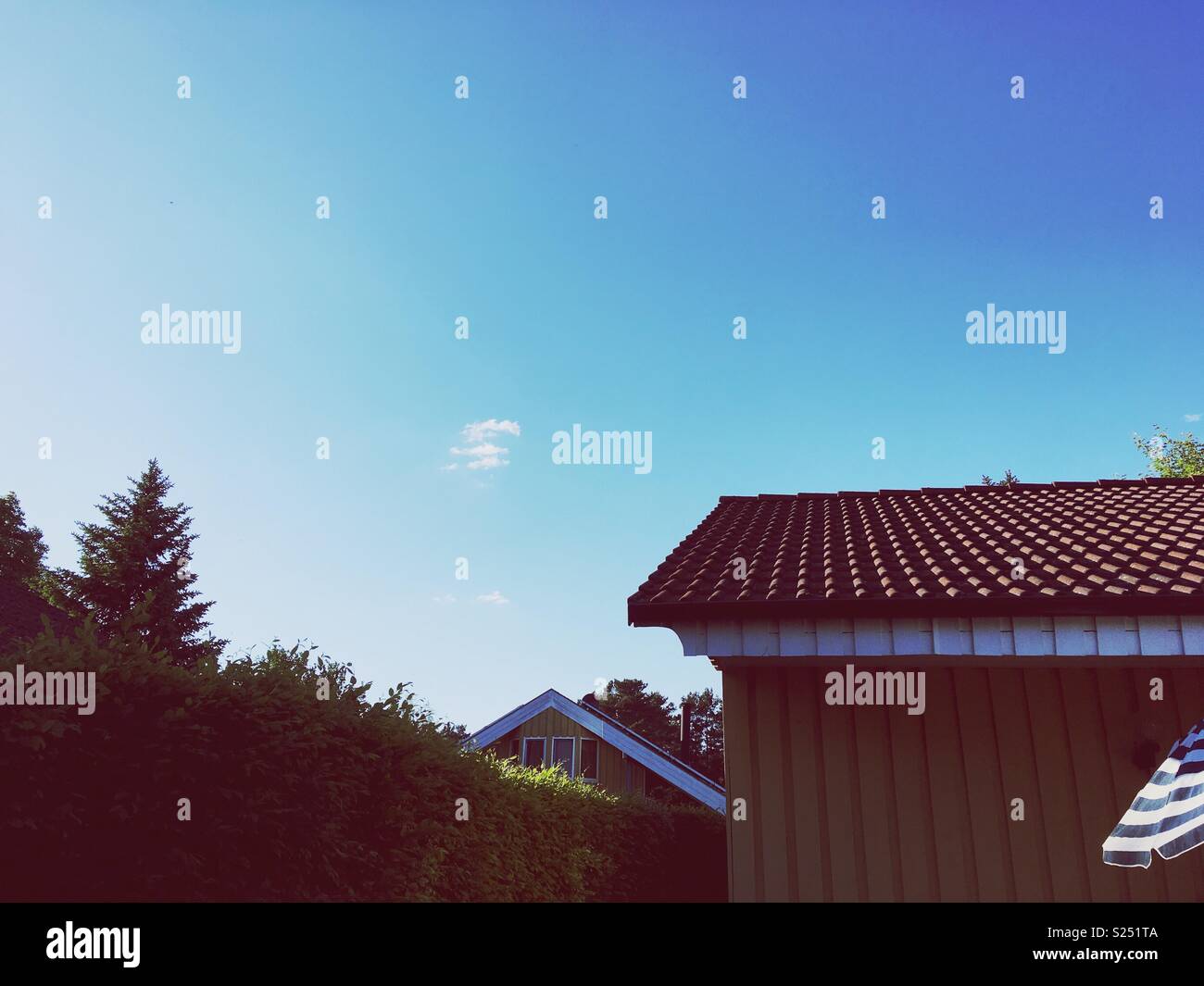 A Garden in Summer - Smartphone Captured Stock Image