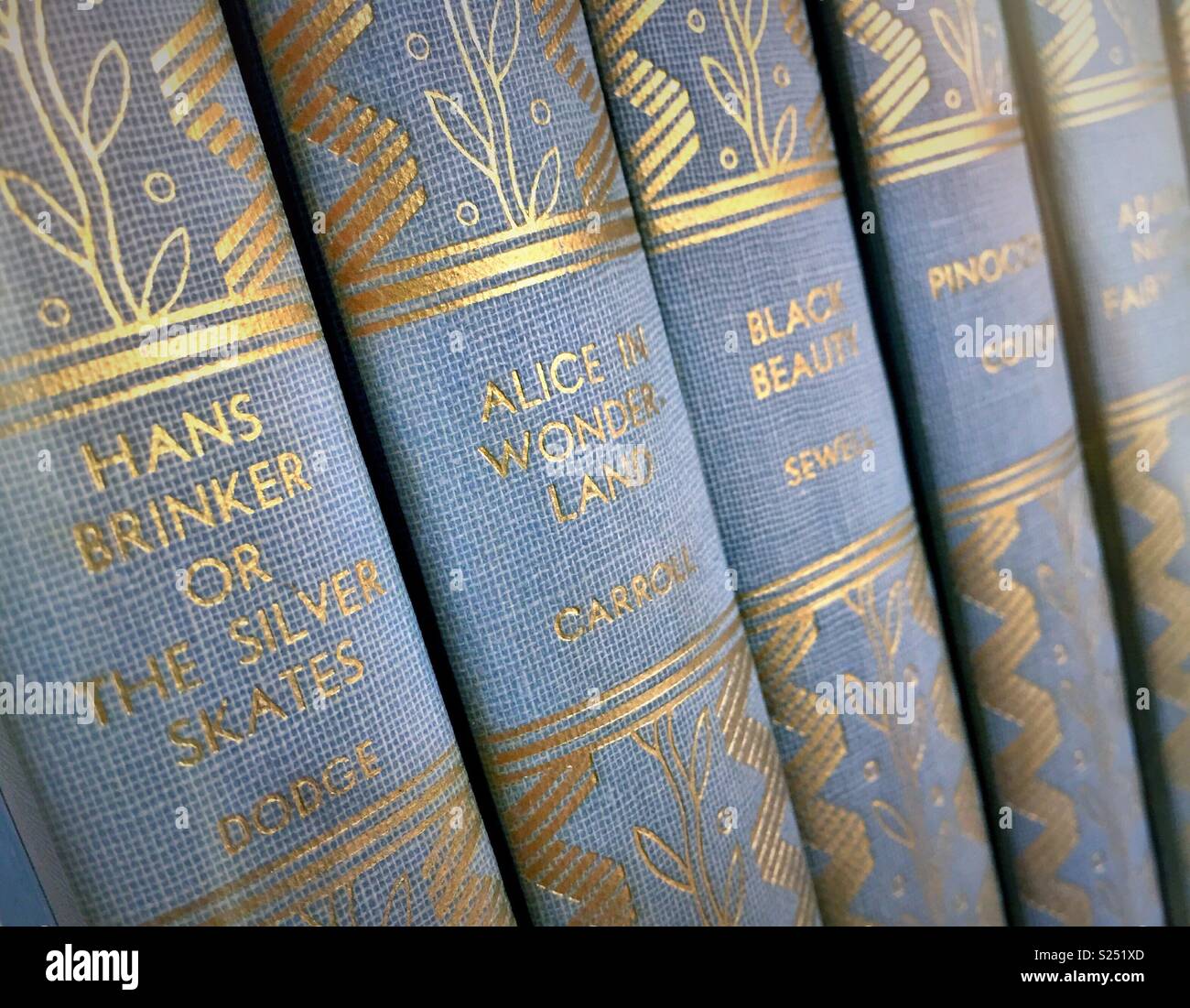Close up of titles of a line of books on a shelf, USA Stock Photo