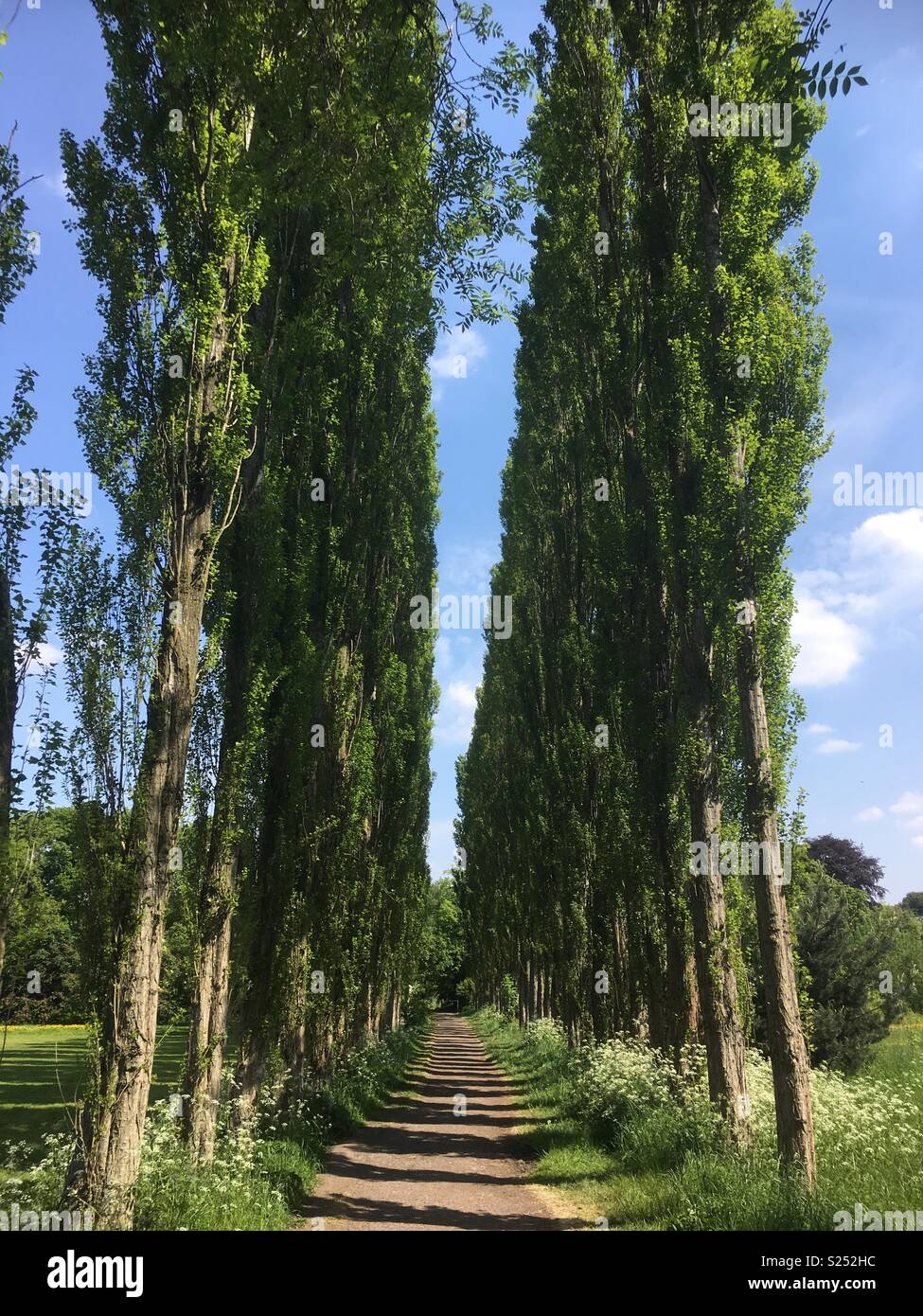 Fletcher Moss, Didsbury, Manchester Stock Photo Alamy