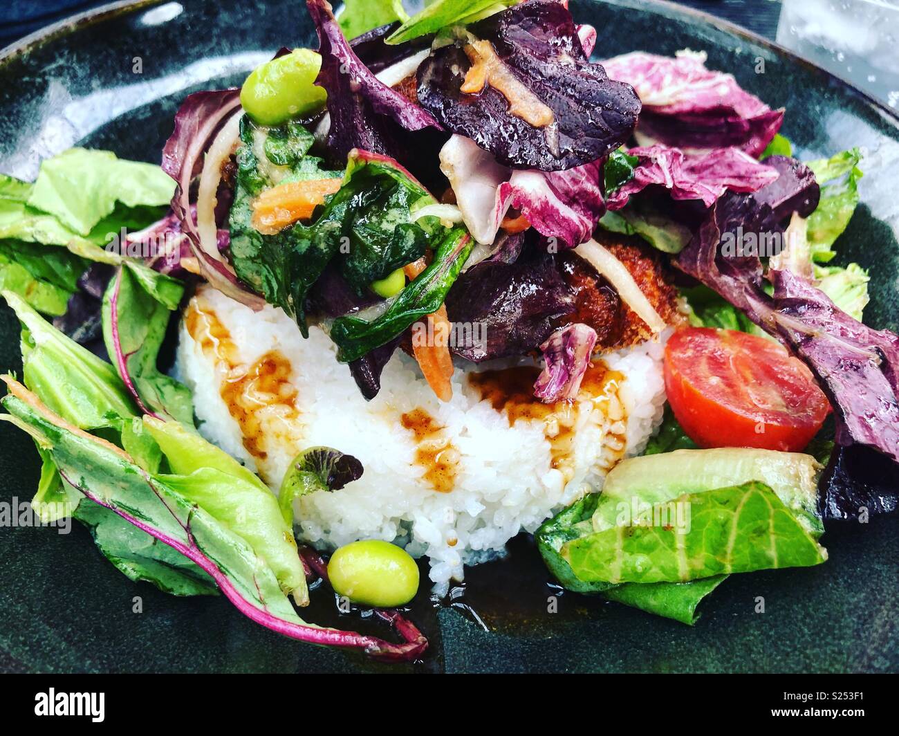 Japanese Katsu with Rice with salad Stock Photo