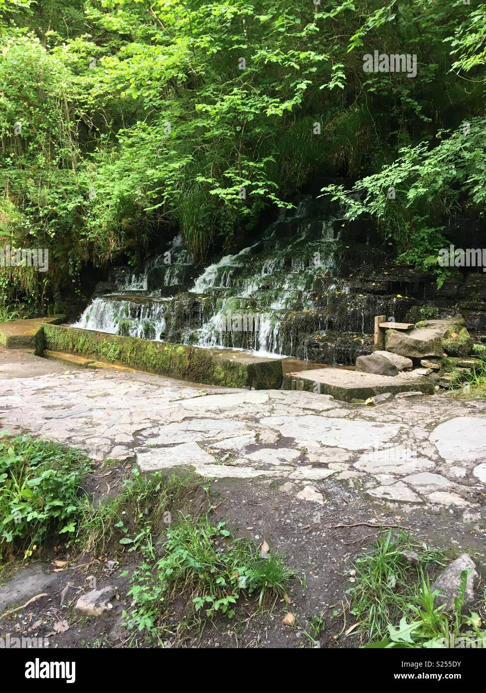 Waterfall, Marble Arch Caves, Northern Ireland Stock Photo Alamy