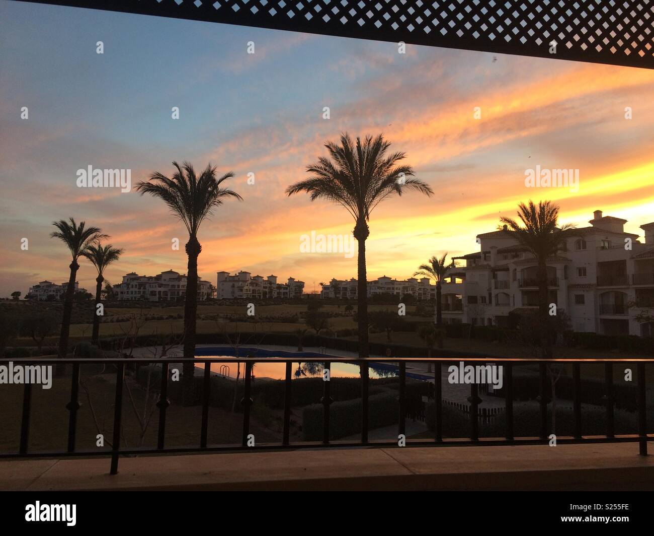 Spanish sunset with palms over pool Stock Photo Alamy