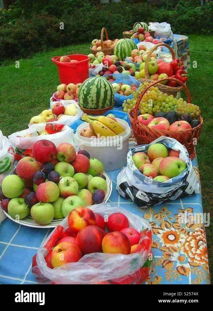 All Fruits Apple Banana Graps Watermelon And Green Apple My Bedt Fruits All I Like All Fruits And Alu Bakhara Stock Photo Alamy