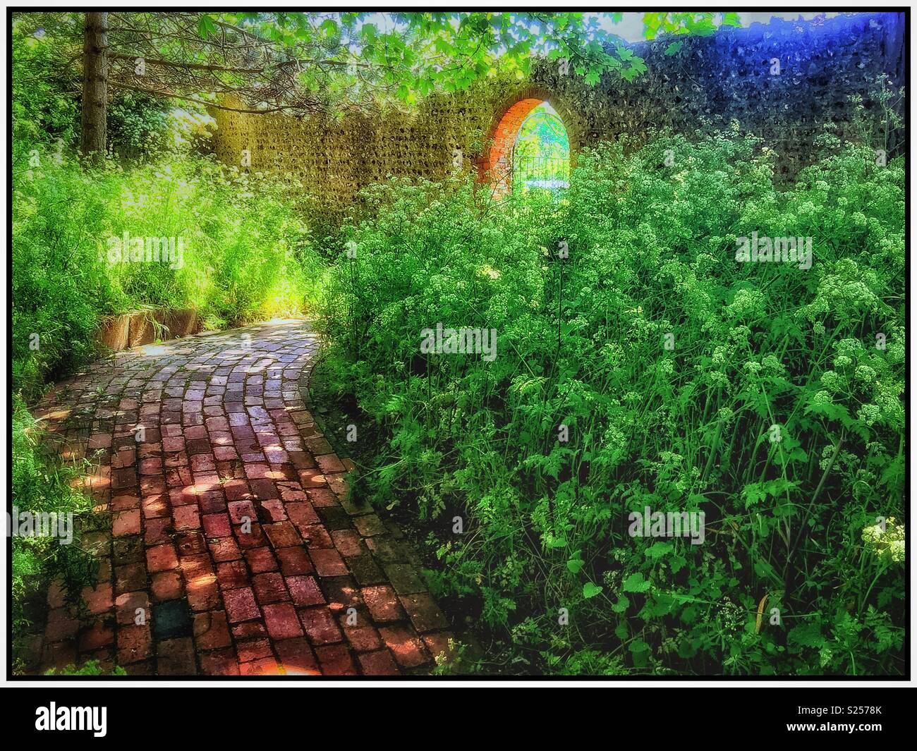 A garden in Rottingdean. - Smartphone Captured Stock Image