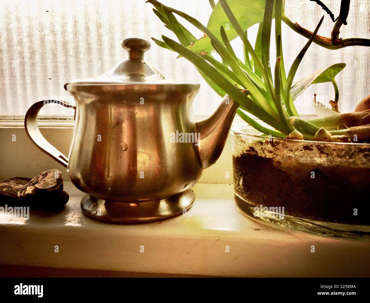 Stainless steel teapot and a recycle garden in s kitchen window Stock Photo Alamy