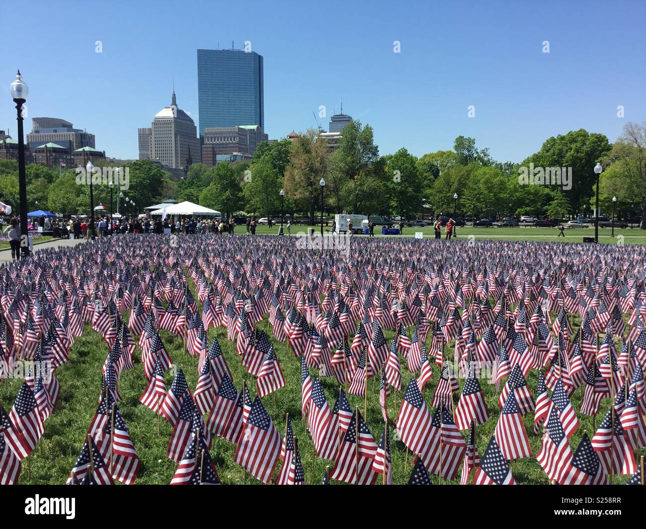 Memorial Day Flags on Boston Commons Stock Photo Alamy