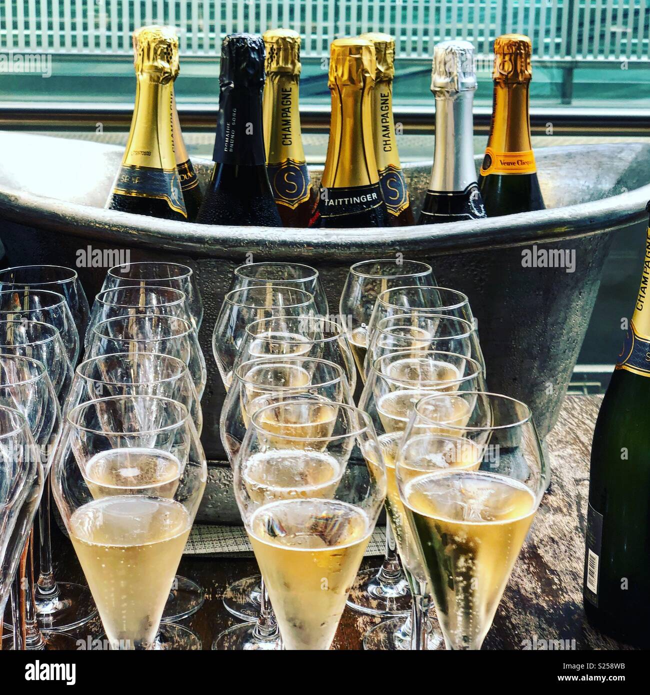 Rows of champagne in flutes Stock Photo