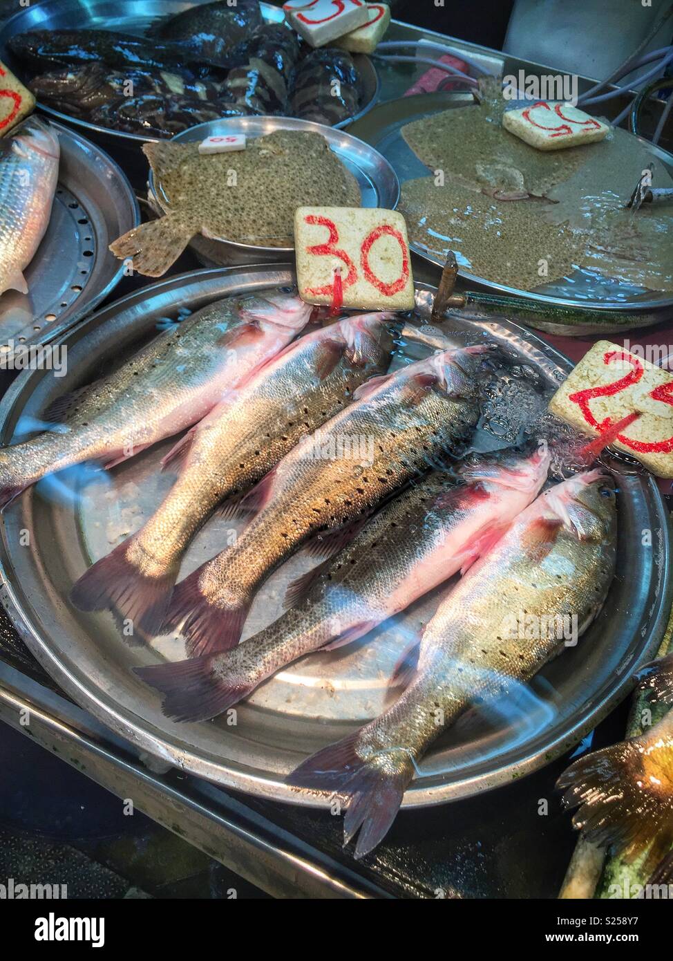Live fish for sale in a 'wet market', Yuen Long, New Territories, Hong Kong - Smartphone Captured Stock Image