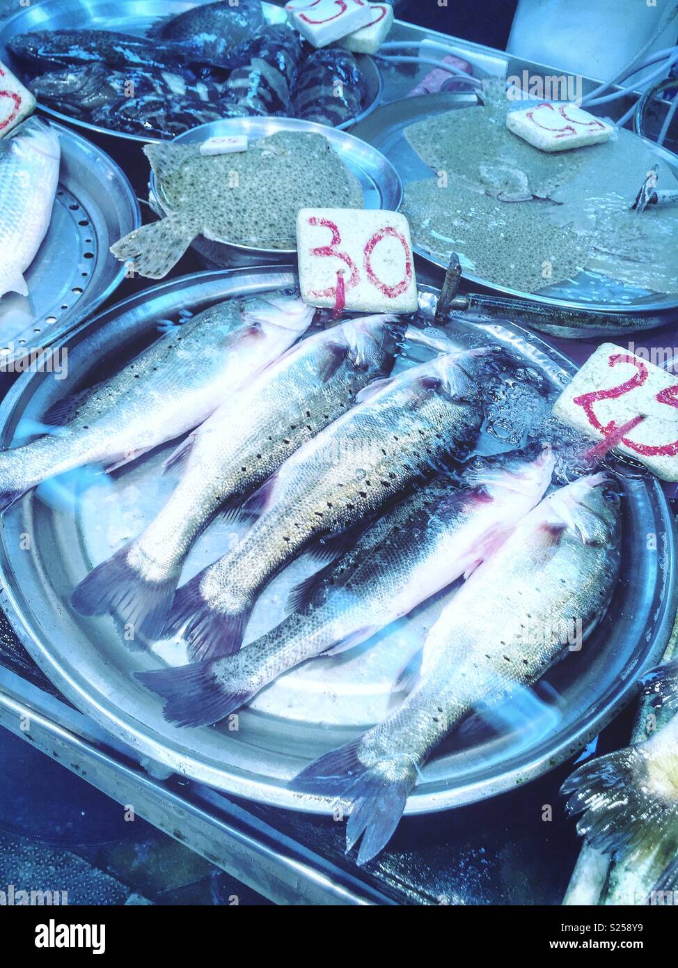 Live fish for sale in a 'wet market', Yuen Long, New Territories, Hong Kong - Smartphone Captured Stock Image