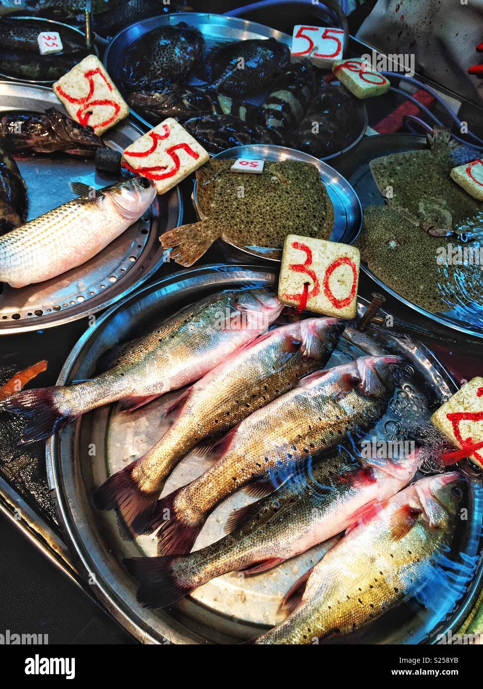 Live fish for sale in a 'wet market', Yuen Long, New Territories, Hong Kong - Smartphone Captured Stock Image