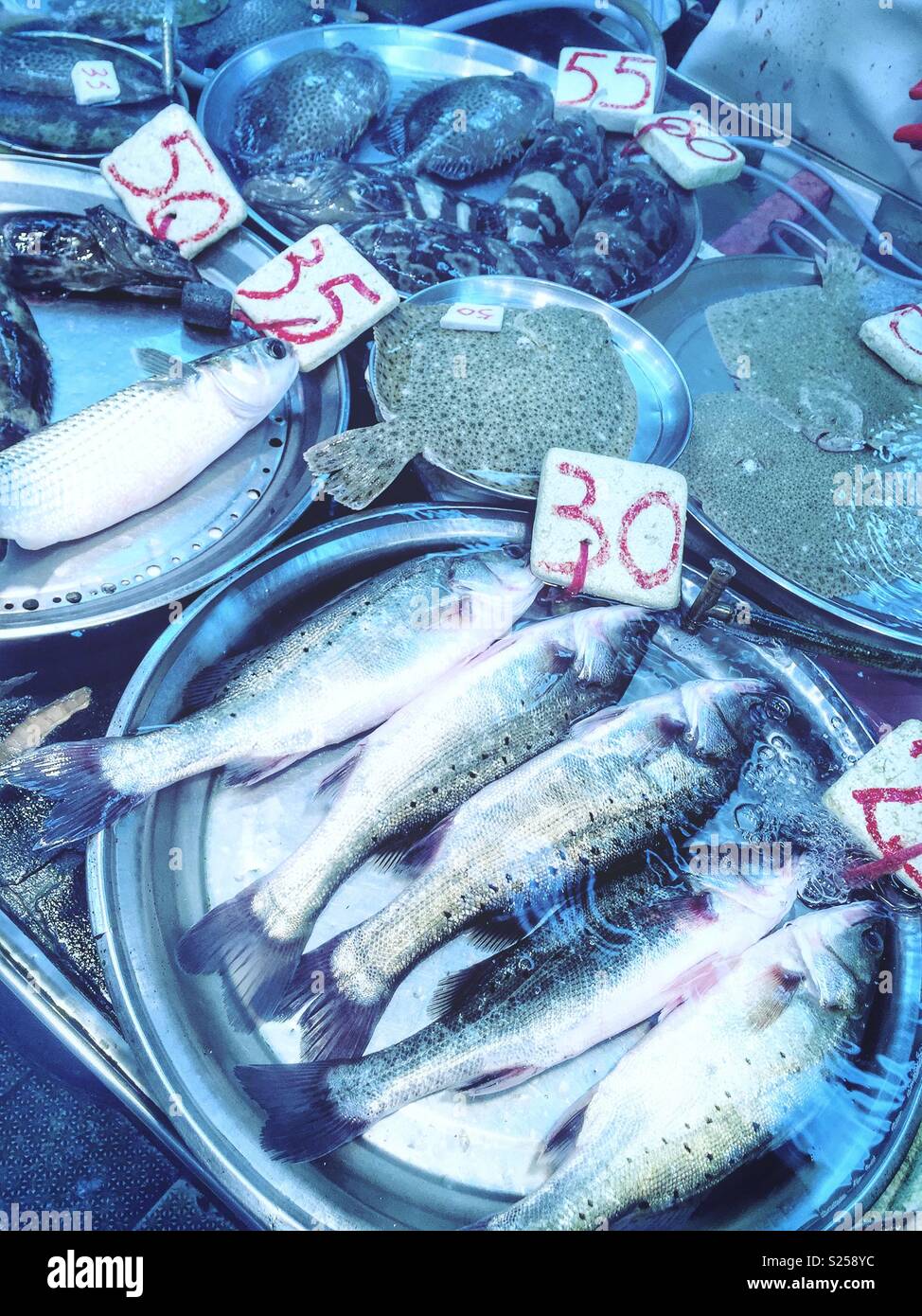 Live fish for sale in a 'wet market', Yuen Long, New Territories, Hong Kong - Smartphone Captured Stock Image