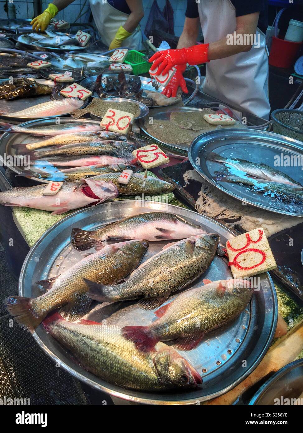 Live fish for sale in a 'wet market', Yuen Long, New Territories, Hong Kong Stock Photo