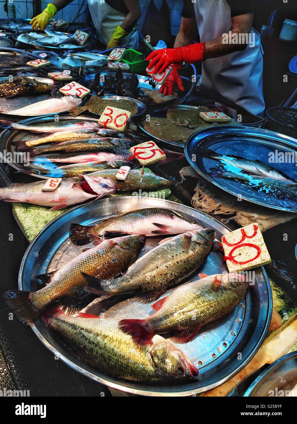 Live fish for sale in a 'wet market', Yuen Long, New Territories, Hong Kong - Smartphone Captured Stock Image