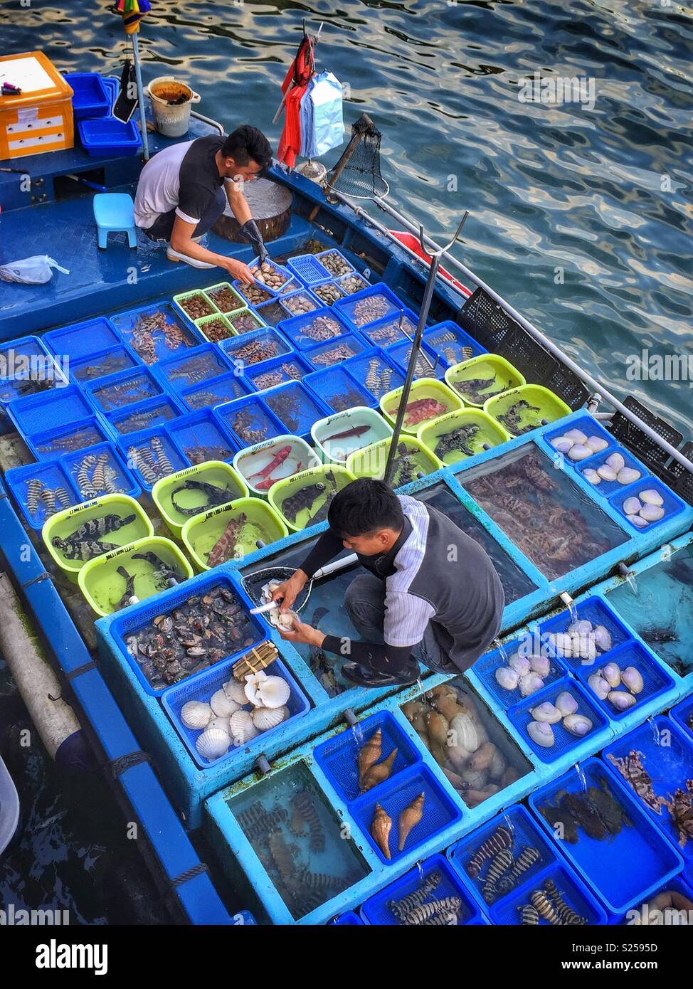 Fishermen sell locally caught fish and seafood at Sai Kung waterfront, New Territories, Hong Kong - Smartphone Captured Stock Image