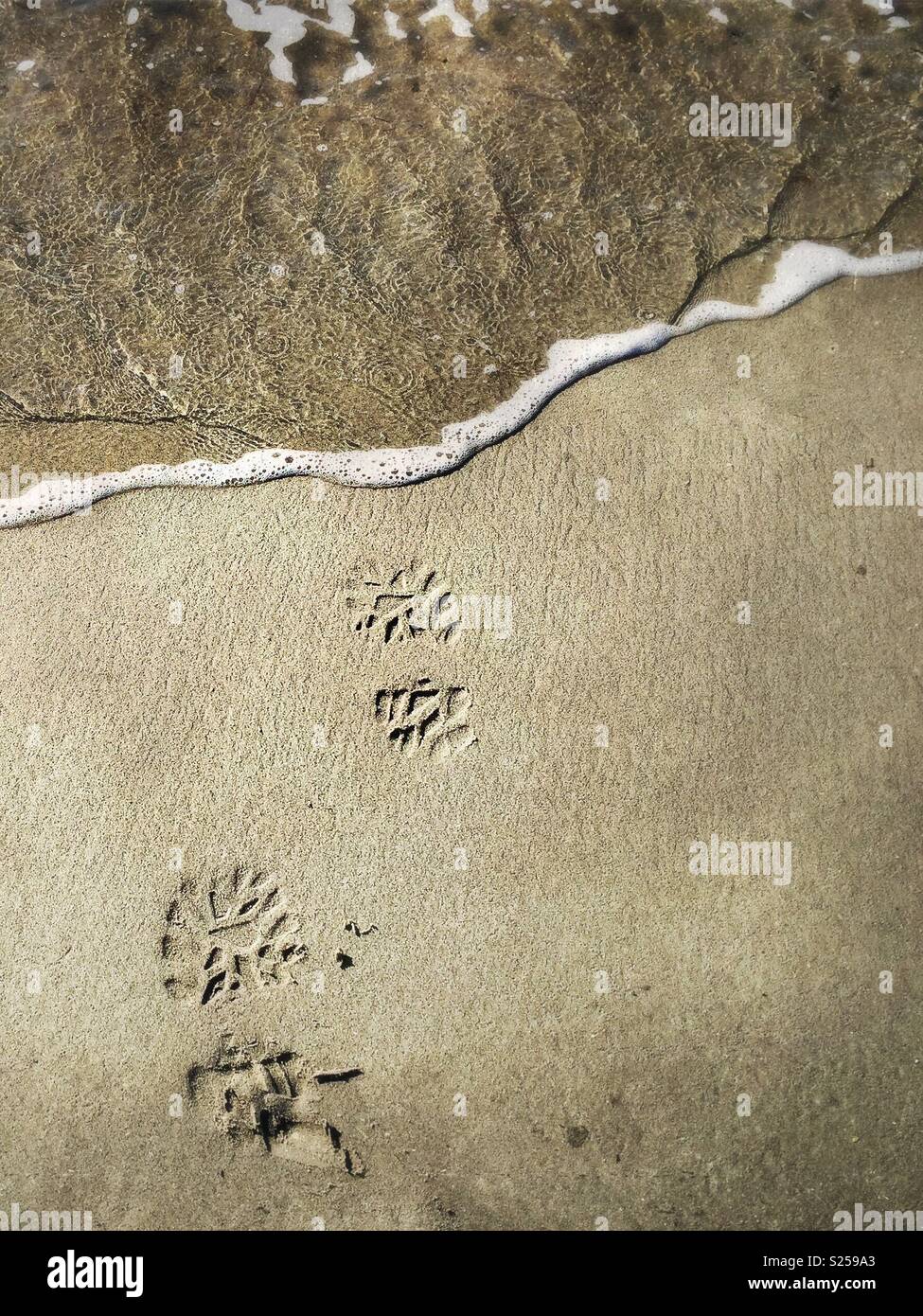Boot prints on the beach, about to get washed away - Smartphone Captured Stock Image