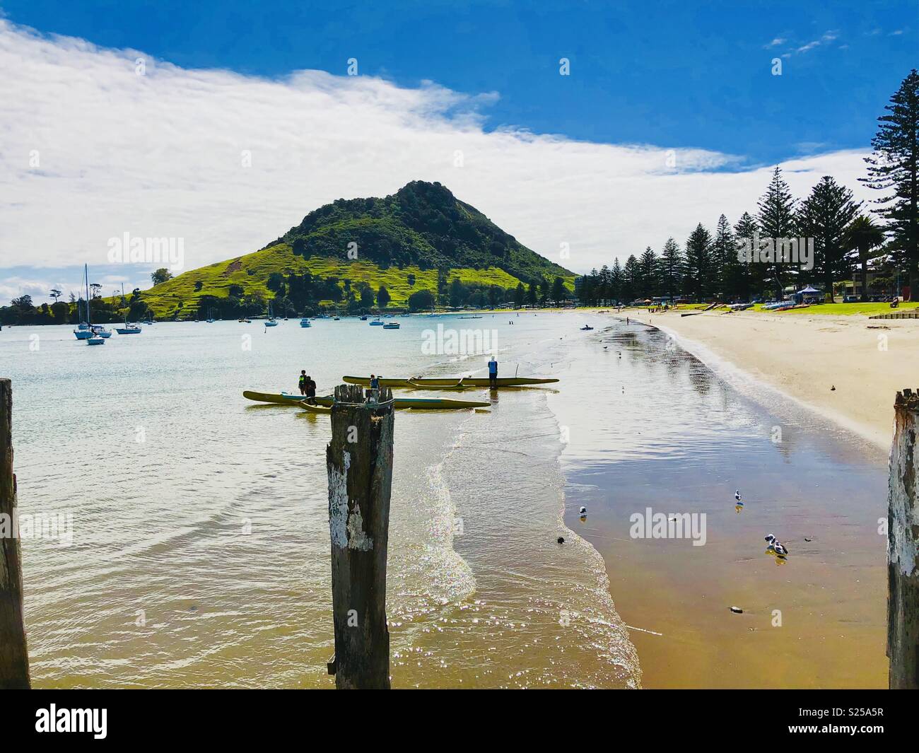 Pilot Bay, with Mt. Mounganui, or Mauao, or The Mount, in the Background, with Old Jetty Piles in Foreground, North Island, New Zealand, Oceania - Smartphone Captured Stock Image