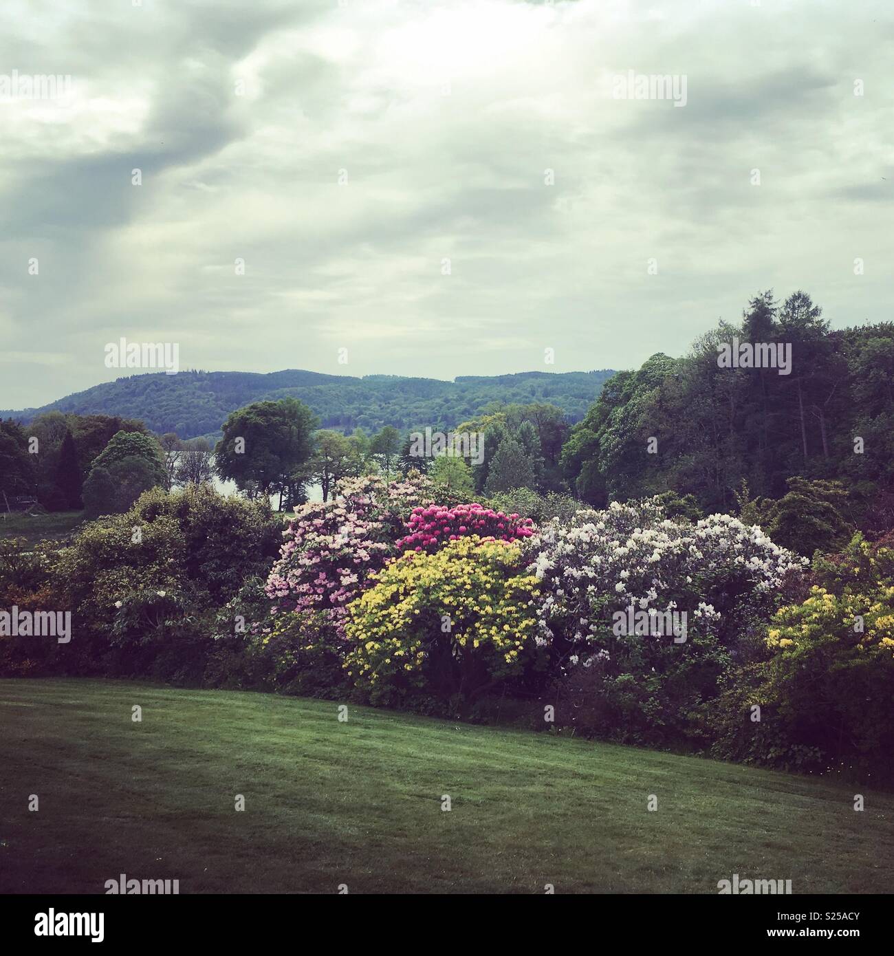 Brockhole on Windermere Stock Photo Alamy