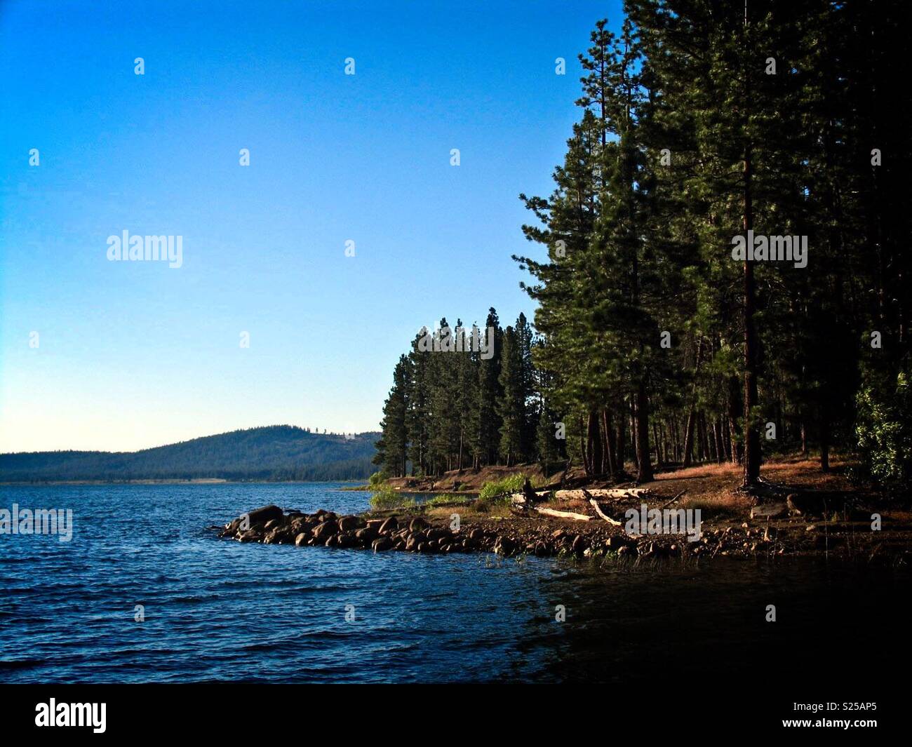 Lake Davis, California 01 Stock Photo Alamy