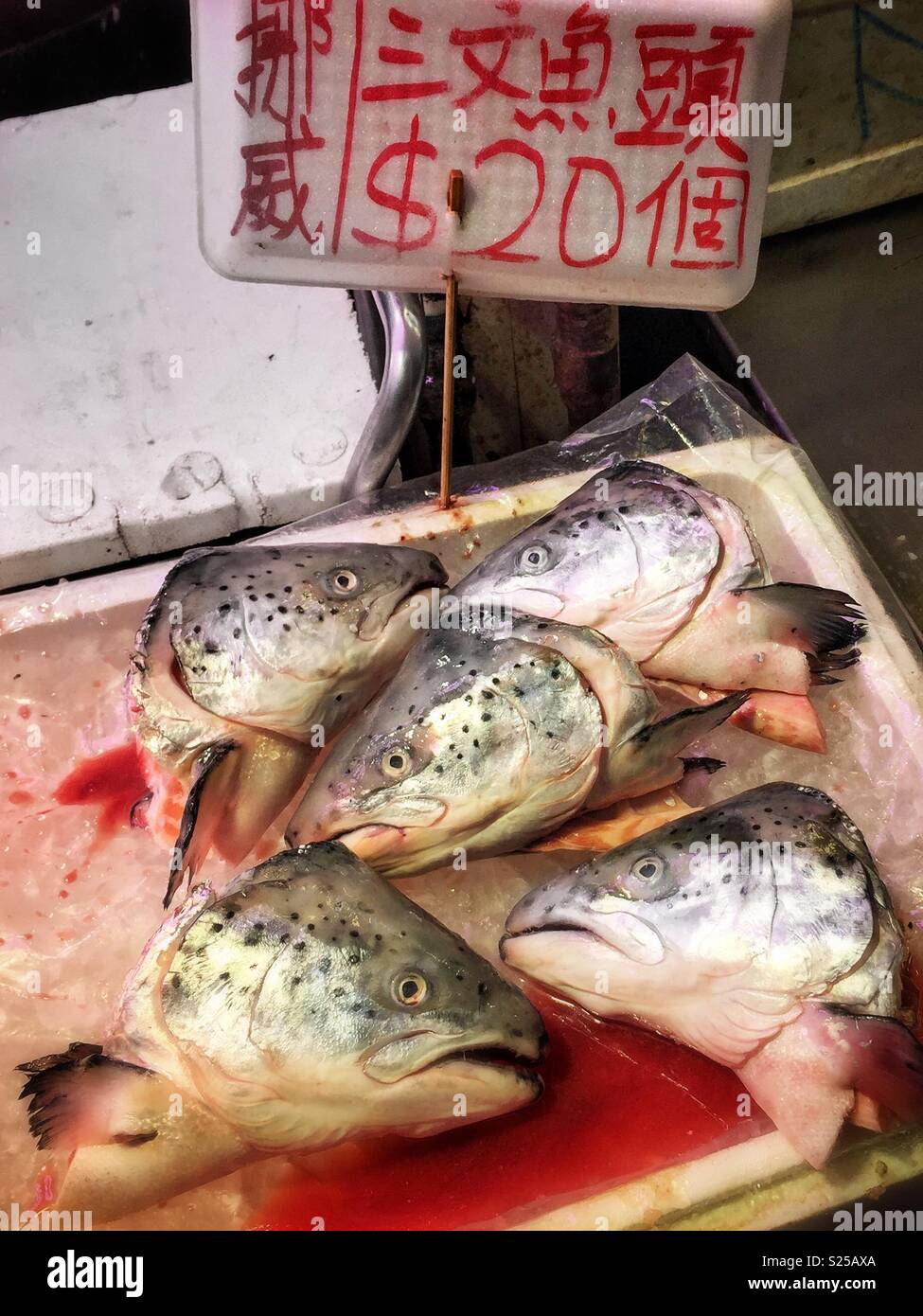 Salmon heads for sale in a 'wet market', Yuen Long, New Territories, Hong Kong - Smartphone Captured Stock Image