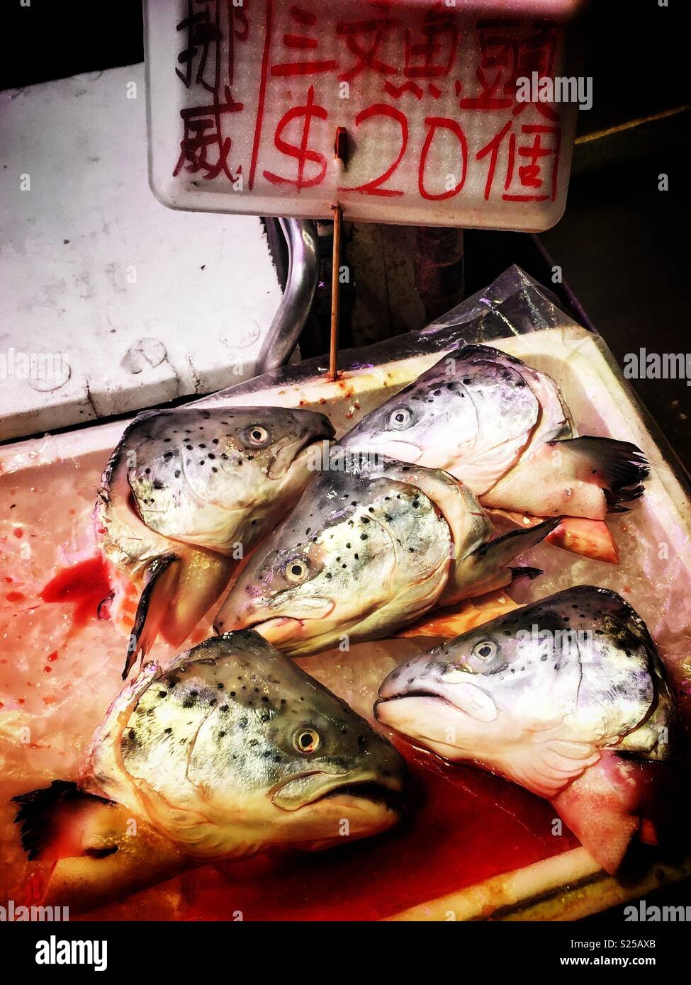 Salmon heads for sale in a 'wet market', Yuen Long, New Territories, Hong Kong - Smartphone Captured Stock Image