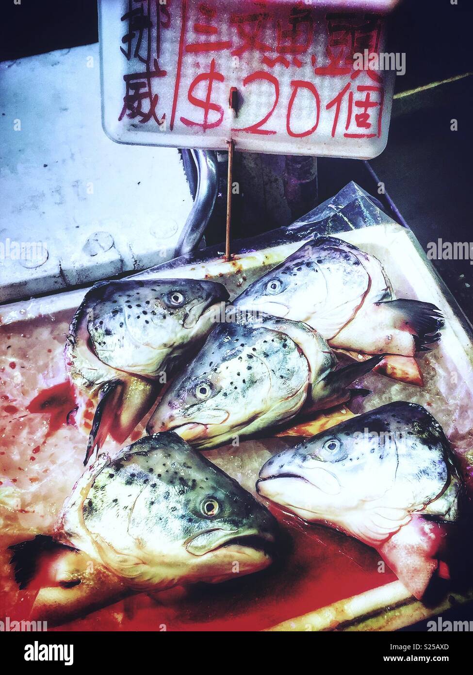 Salmon heads for sale in a 'wet market', Yuen Long, New Territories, Hong Kong - Smartphone Captured Stock Image