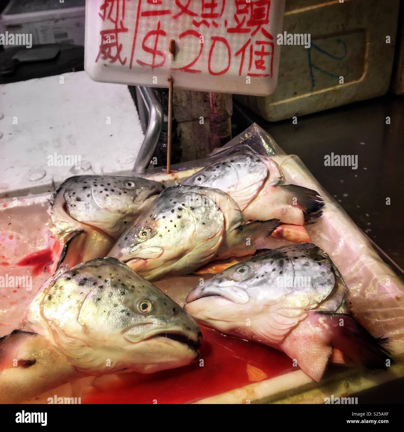 Salmon heads for sale in a 'wet market', Yuen Long, New Territories, Hong Kong - Smartphone Captured Stock Image
