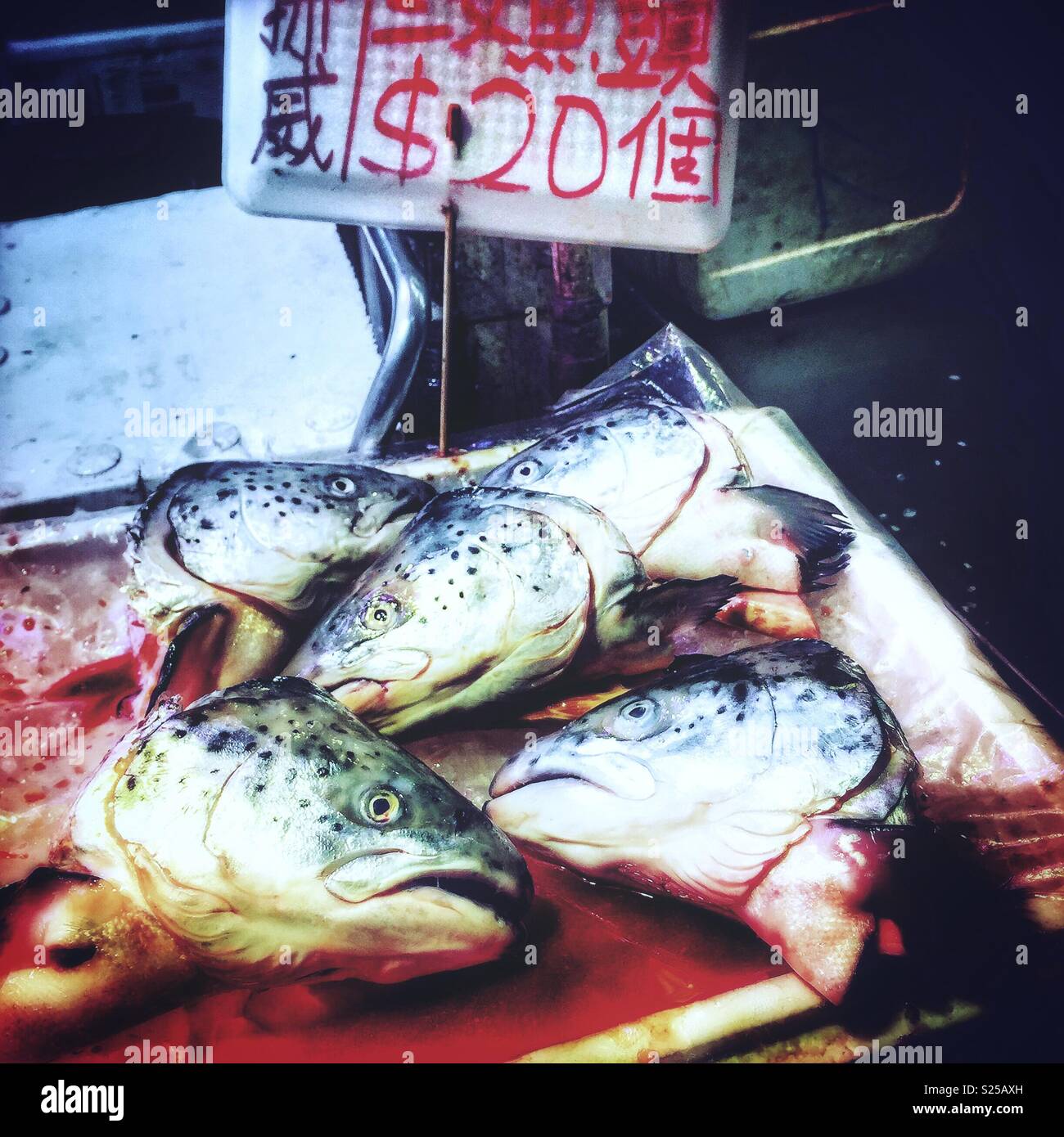 Salmon heads for sale in a 'wet market', Yuen Long, New Territories, Hong Kong - Smartphone Captured Stock Image