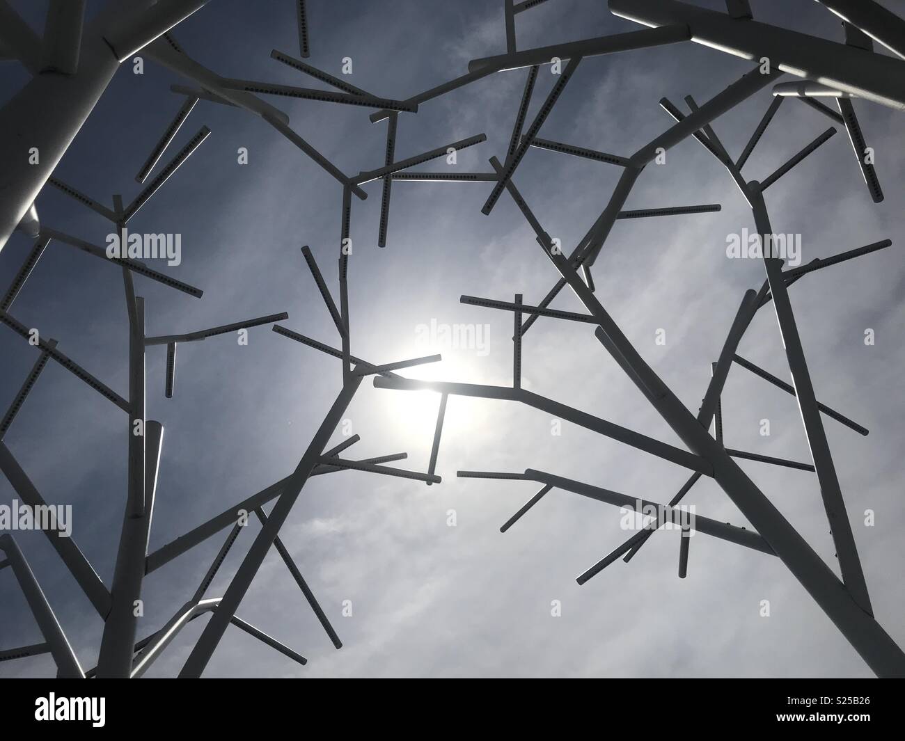 View of the sun through a metal tree sculpture in Glasgow, Scotland. Stock Photo