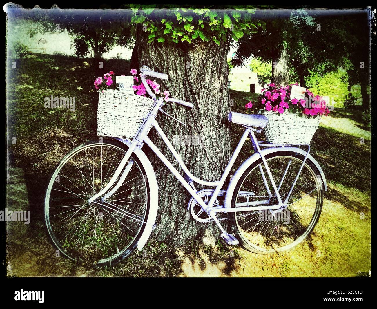 Old bicycle - Smartphone Captured Stock Image