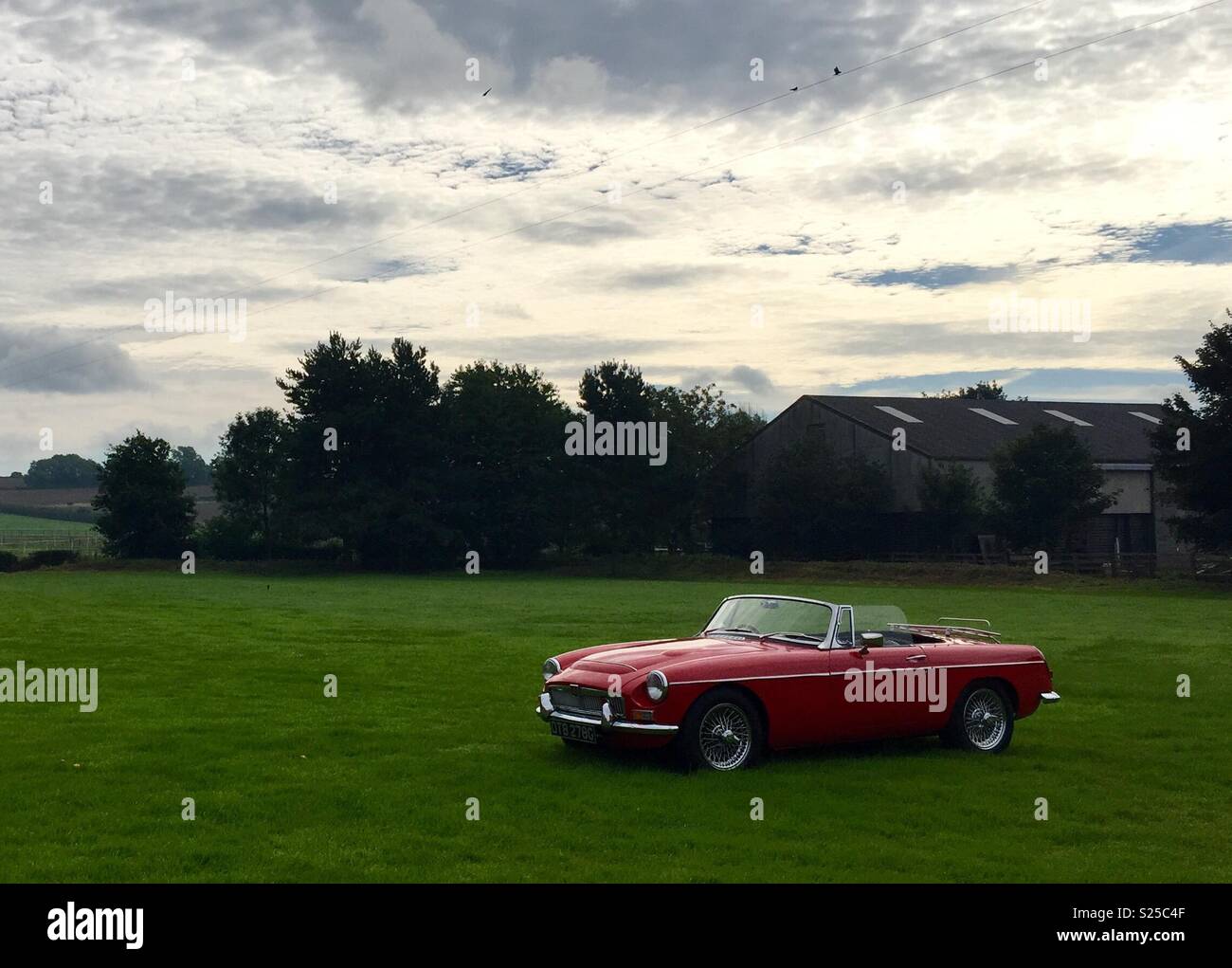 Classic car in field - Smartphone Captured Stock Image