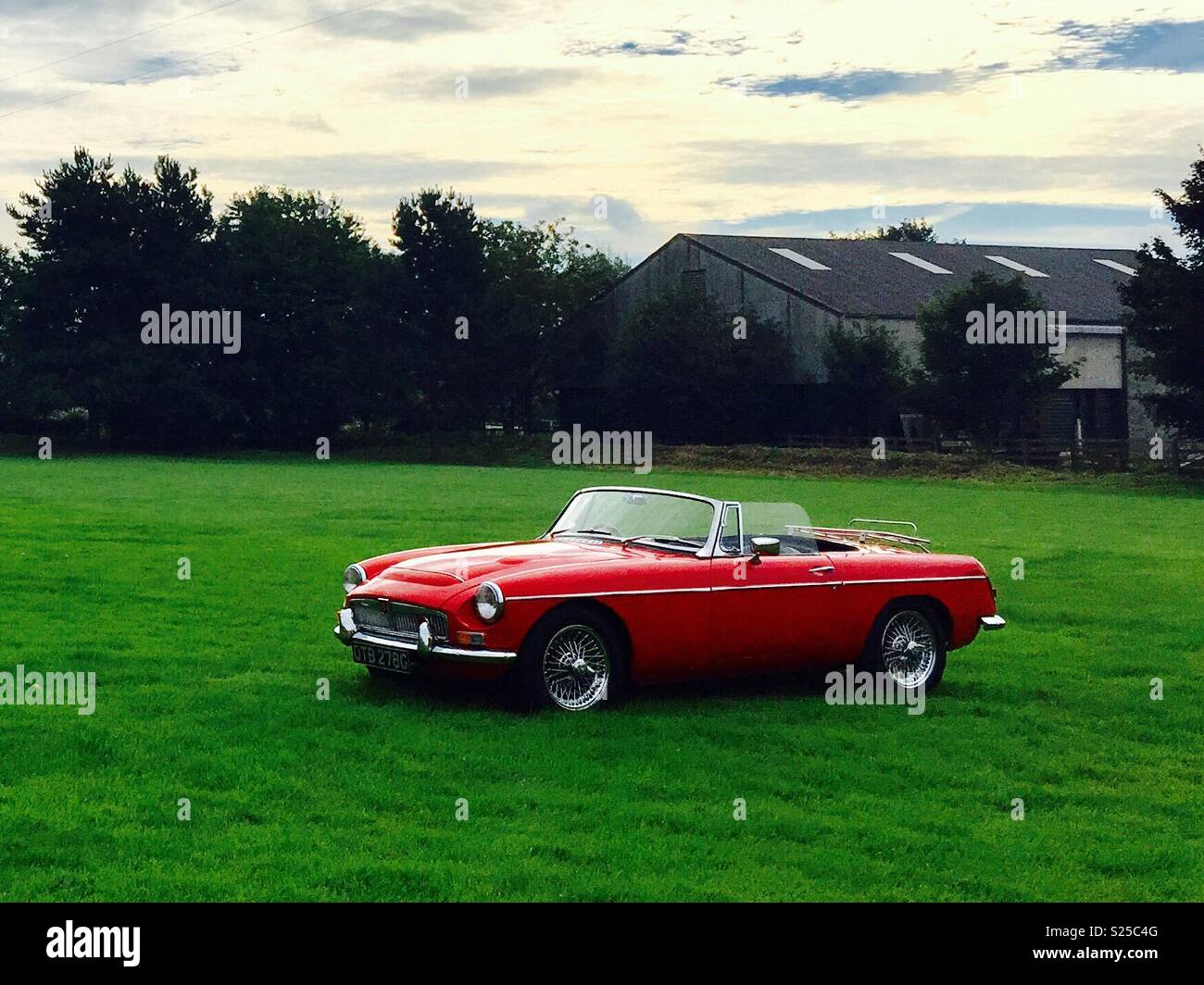 Classic car in field - Smartphone Captured Stock Image